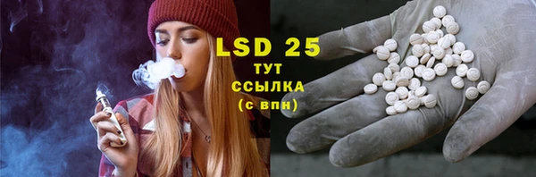 прущие грибы Алексеевка