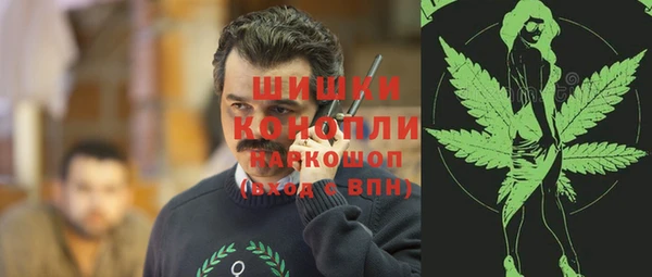 PSILOCYBIN Алзамай