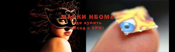 прущие грибы Алексеевка