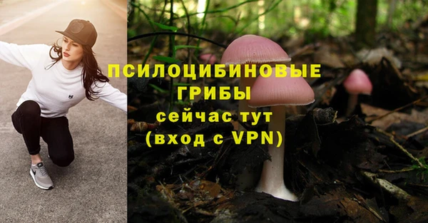 ГАЛЛЮЦИНОГЕННЫЕ ГРИБЫ Алексин