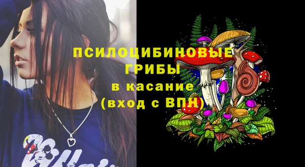 PSILOCYBIN Алзамай