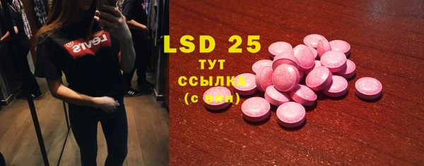 PSILOCYBIN Алзамай